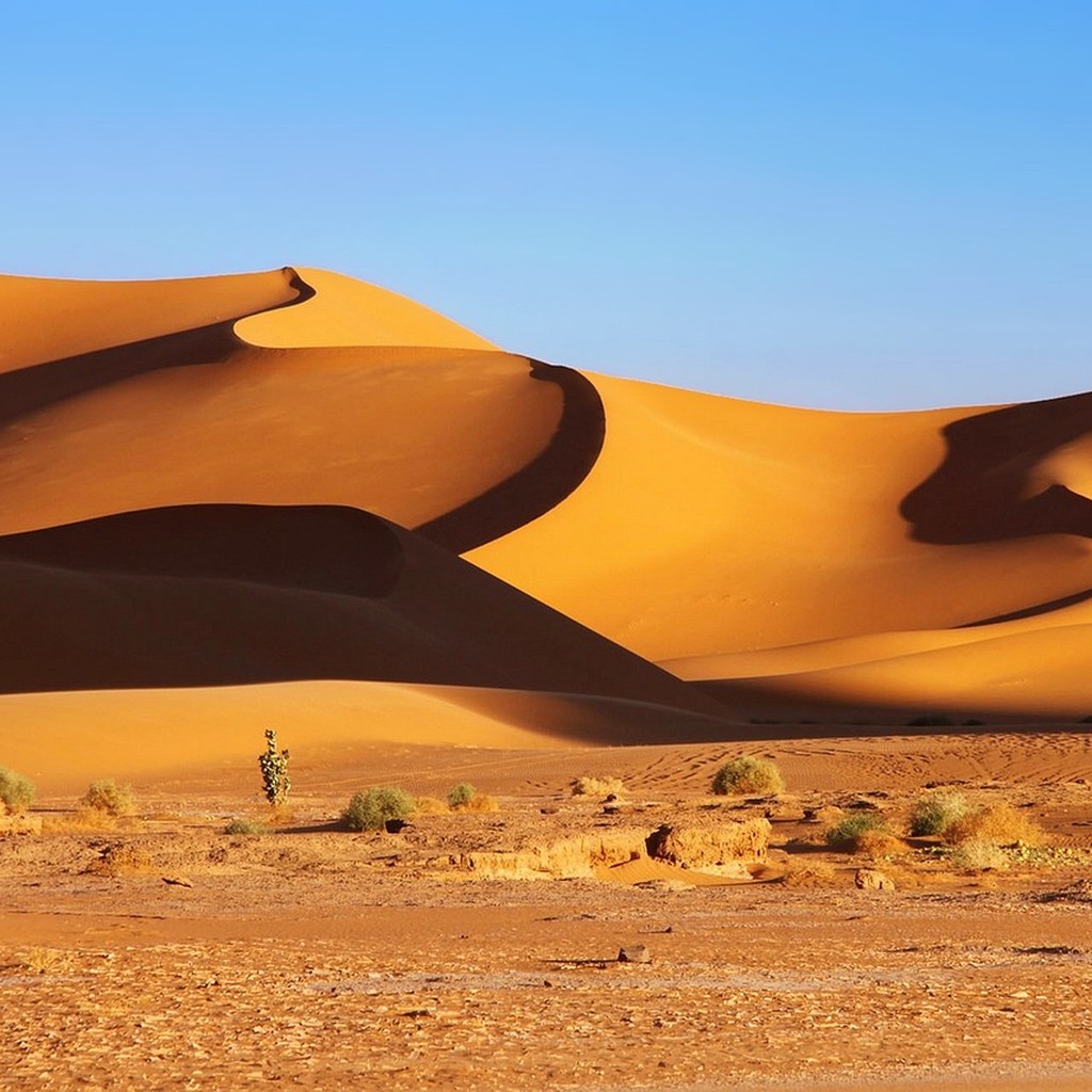 Photo du circuit Trek à la cité perdue de Séfar – Tassili N’ajjer en Algérie - Vue 6