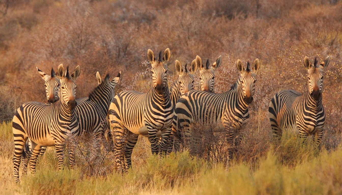 Safari privatif Hakuna Matata en Tanzanie - Photo paysage