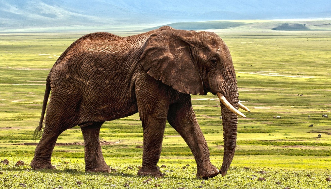 Safari groupé Karibuni en Tanzanie - Photo paysage