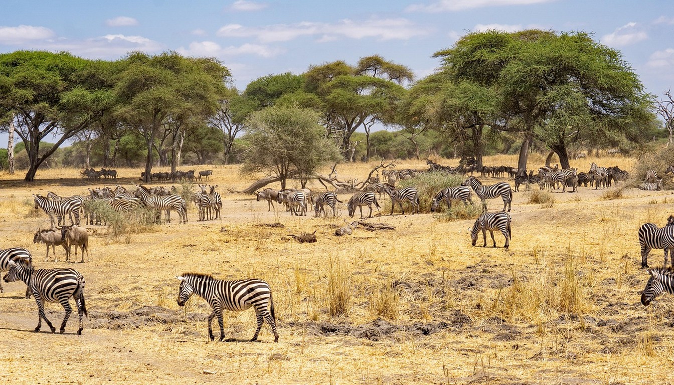 Safari Privatif Esprit de Tanzanie en Tanzanie - Photo paysage