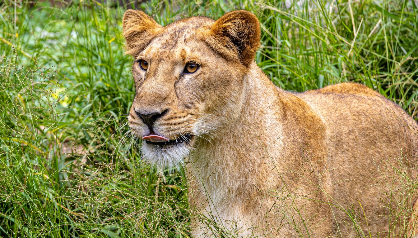 Safari Karibuni 9 jours en Tanzanie - Photo paysage