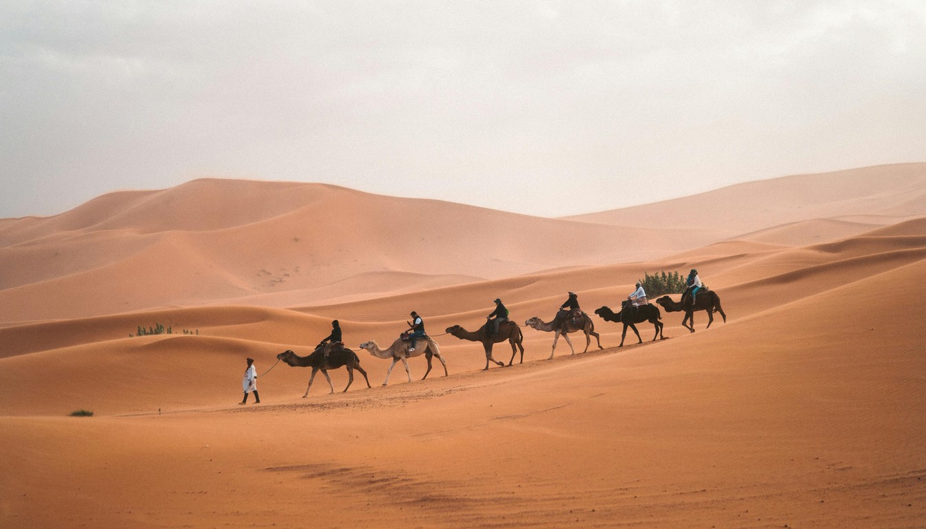 Circuit Petits Pachas au Sahara en Maroc - Photo paysage